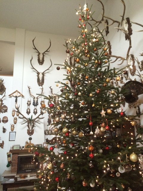 Unser Goliat - Ein alljährliches Familienprojekt