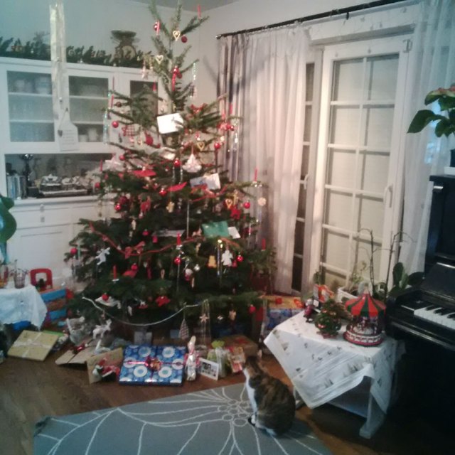 Mein schöner Christbaum