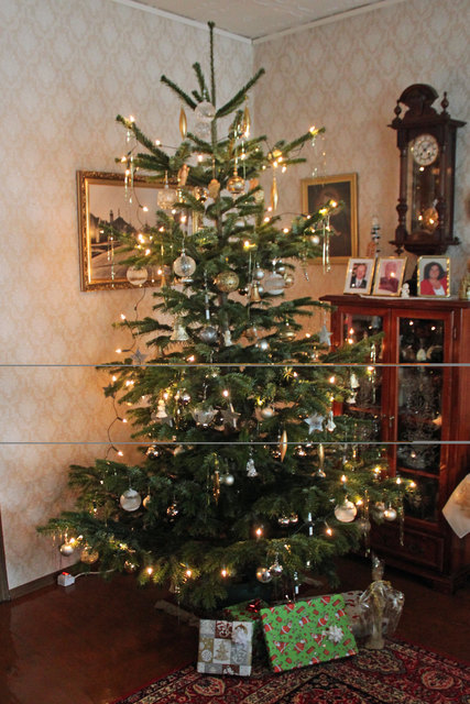 Unser Weihnachtsbaum 2015