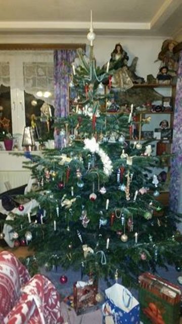 Unser Christbaum 2015