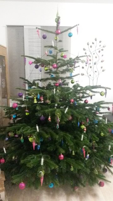 Der erste Christbaum im eigenen Haus