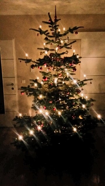 Mein Christbaum