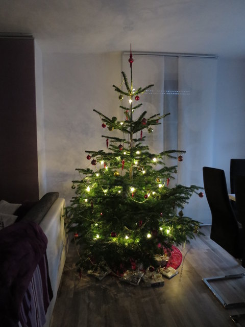 Unser 1. Christbaum in unserer Wohnung