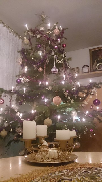 Echte Tanne mit alten Erinnerungen