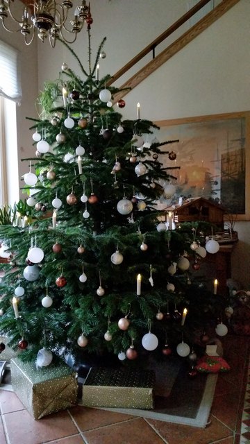Für mich mein schönster Weihnachtsbaum!