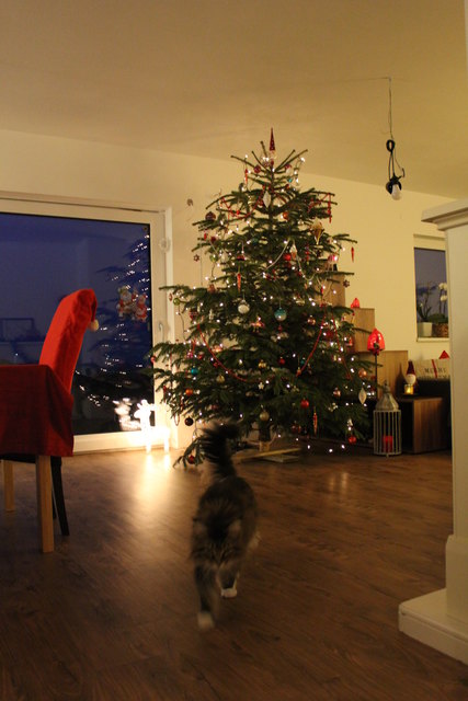 1. Weihnachten in unserem neuen Haus