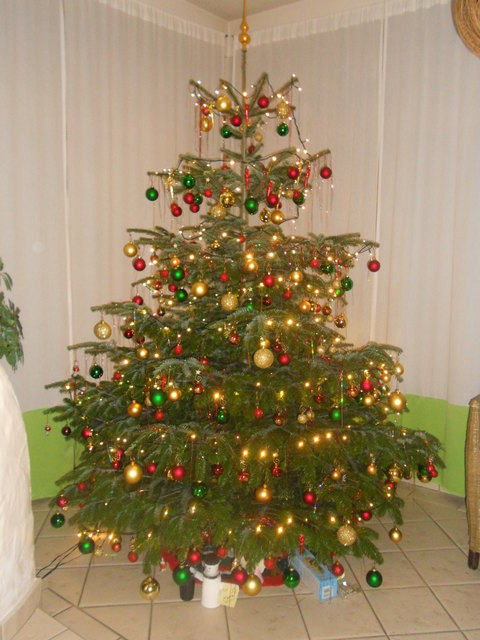 Christbaum der Fam.Köller Jürgen aus 7024 Hirm !!