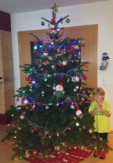 Lenny´s Wichtel-Christbaum bei Omi