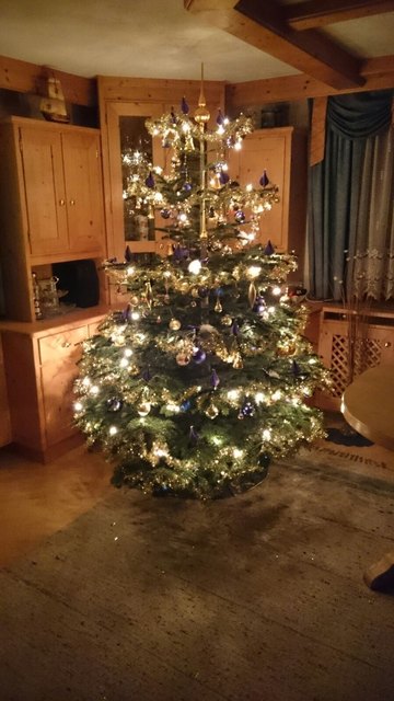 oh Tannenbaum, oh Tannenbaum ....