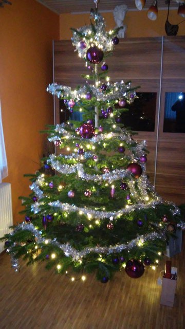 ein burgenlaendischer Baum~ schoener geht es kaum