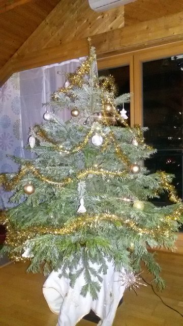 geschmückt ganz alleine von meiner 11 Jahre alten Tochter Lisa