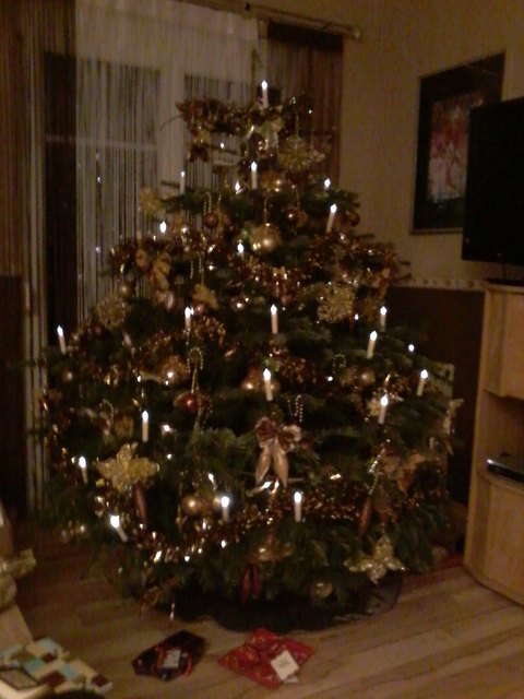 unser christbaum 2015