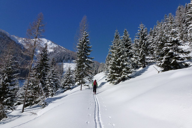 Foto © Thomas Eberl