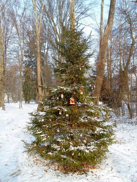 Ein Christbaum für Mensch und Tier