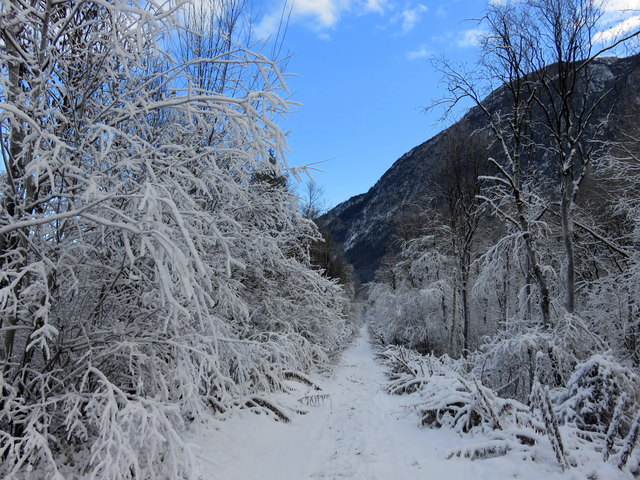 der Winter ist da