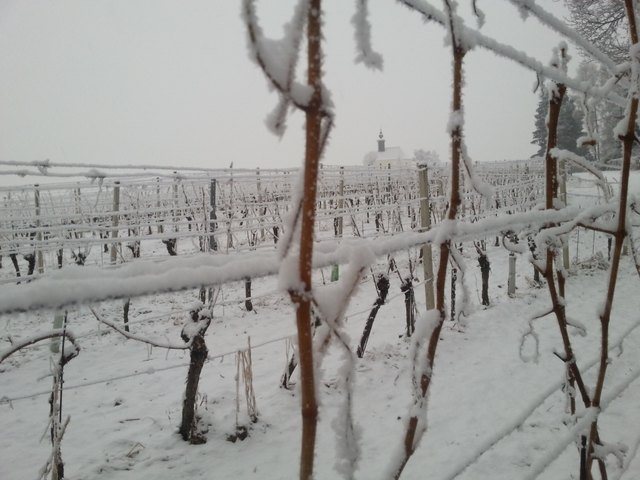 Foto (c) Cornelia Kerber, DIE KERBER, Theresienkeller, Blick vom Theresienkeller zur Theresienkapelle. Winteridylle am Theresienhügel