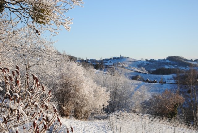 Foto: (c) Cornelia Kerber, DIE KERBER, Theresienkeller.at. Unser Blick auf das verschneite Kitzeck, Januar 2016