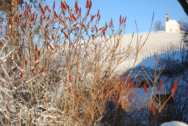 Foto: (c) Cornelia Kerber, DIE KERBER, Theresienkeller.at. Unser Blick auf die in Schnee gehüllte Theresienkapelle.