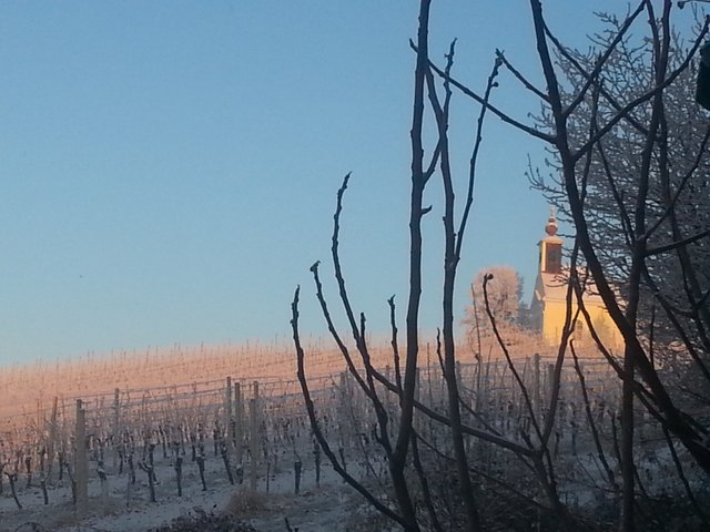 Foto: (c) Cornelia Kerber, DIE KERBER_Blick vom Theresienkeller auf die Theresienkapelle_