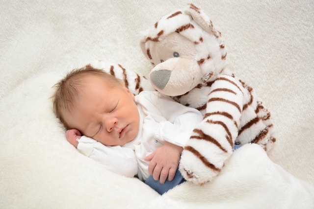 Vorhang auf für den jungen Lavanttaler Fabian Kollenc aus Wolfsberg | Foto: Baby Smile