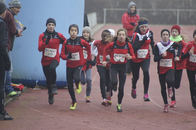 Die Athletinnen und Athleten der U14-Klasse starten in ihren 1.000 Meter langen Crosslauf