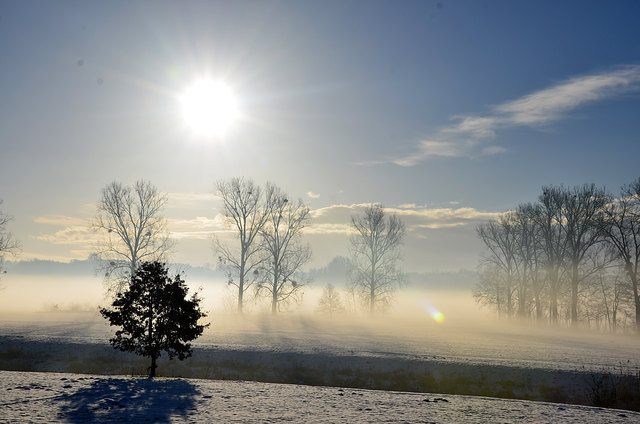 Nebel und Sonne beim Aschachfluss bei Waizenkirchen.