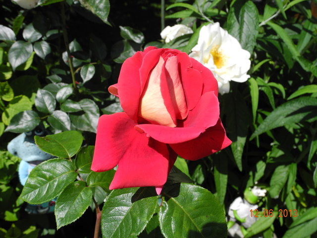 Wie der Geist in den Blumen ist, so ist er auch in den Bäumen.'
Philipp Otto Runge
1777-1810