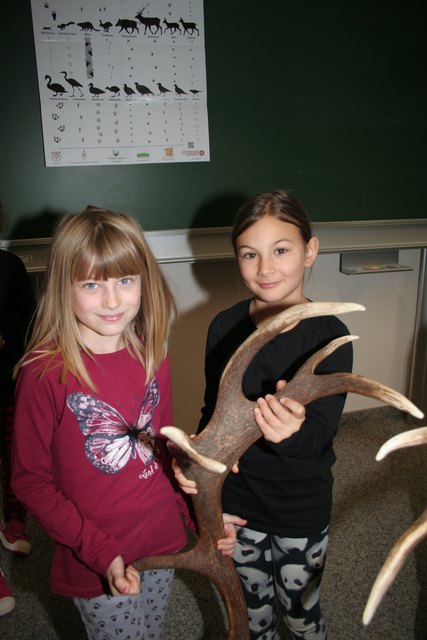 Die Volksschüler lernten viel Wissenswertes zum Thema Jagd.
