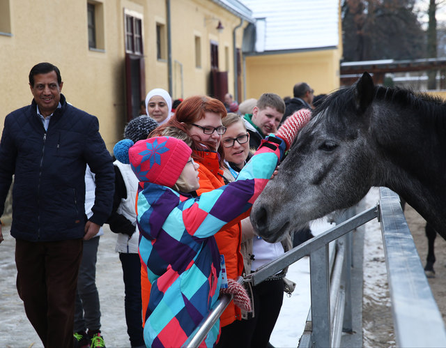 Die Sportler waren beeindruckt vom Gestüt und von den Pferden, die sich den Athleten gegenüber sehr zugänglich zeigten. | Foto: GEPA pictures/Special Olympics