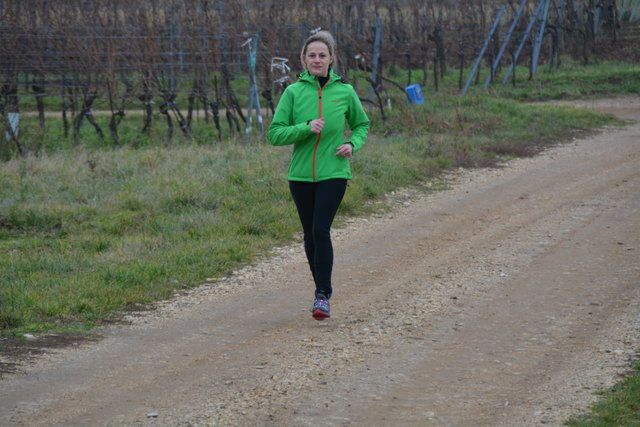 Sandra Krausner auf ihrer Laufstrecke zwischen den Weingärten von Weiden am See.