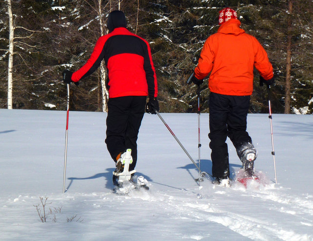 Zu einer Schneeschuhwanderung und Wildtier-Beobachtung lädt der Nationalpark Gesäuse ein.