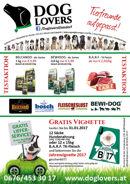 Jahresvignette 2017 sichern!