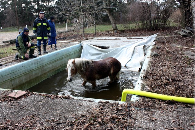 Foto: www.feuerwehr.tulln.at