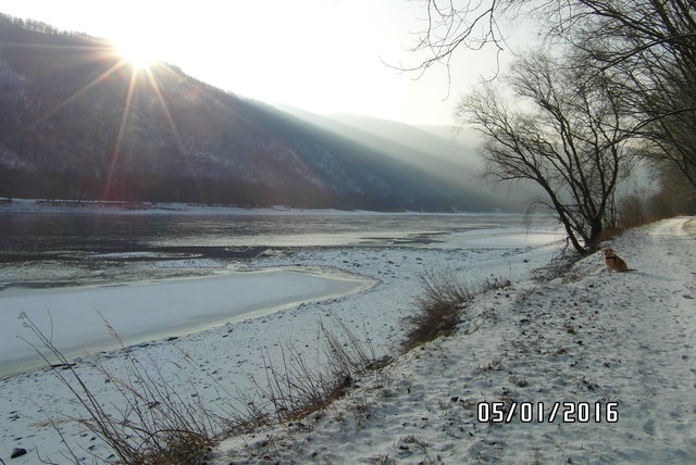 Unser Morgenspaziergang an der Donau