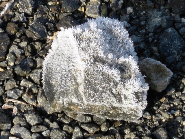 Eiskristallblüten wachsen aus dem Stein