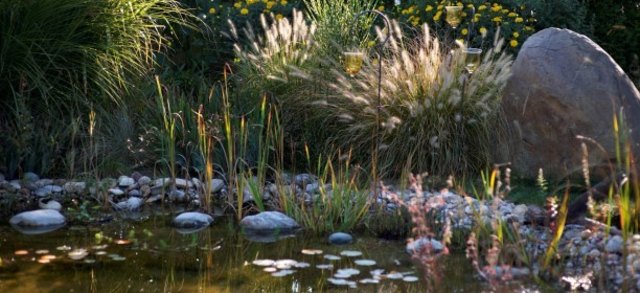 (c) Natur im Garten / Alexander Haiden