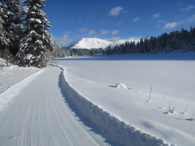 13. Jänner 2016