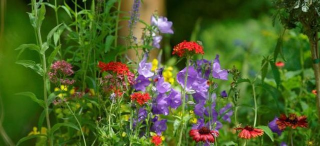 (c) Natur im Garten / Alexander Haiden