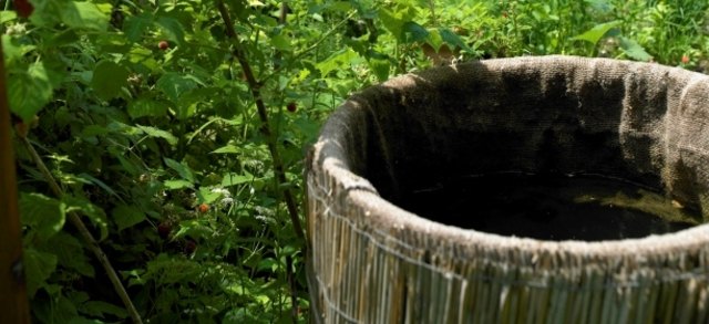 (c) Natur im Garten / Alexander Haiden