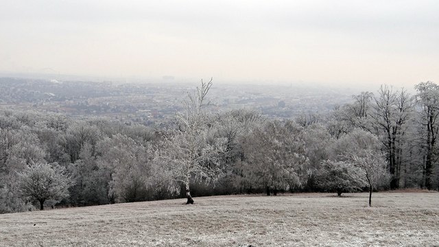 Frostige Temperaturen und Wind erwartet die Wiener am Wochenende.