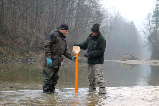 Christian Pechhacker (Fischereiaufseher Waidhofen) und Ybbsfreund Christoph Friesenegger.