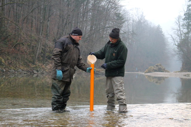 Christian Pechhacker (Fischereiaufseher Waidhofen) und Ybbsfreund Christoph Friesenegger. | Foto: EVN