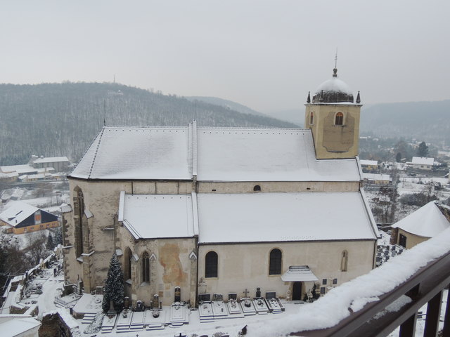 vor einer Woche war sie noch im Winterkleid