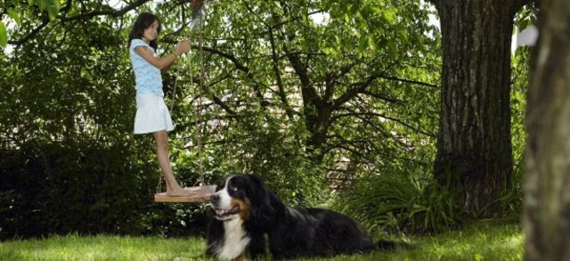 (c) Natur im Garten / Alexander Haiden