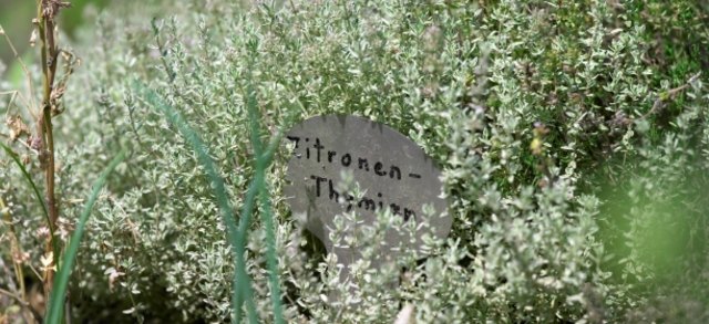 (c) Natur im Garten / Alexander Haiden