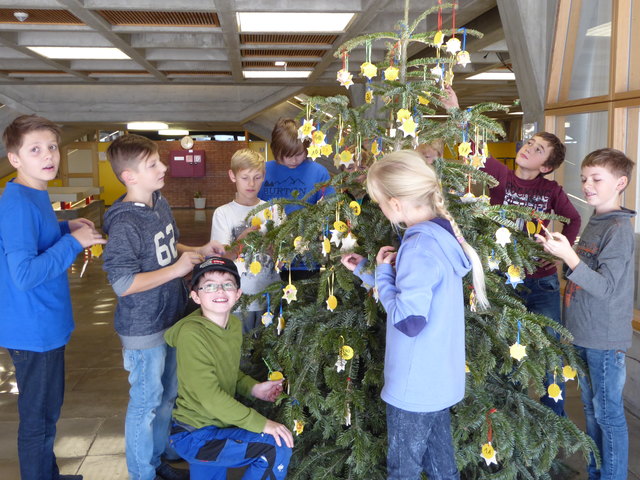 Die Schüler schmückten den Weihnachtsbaum mit ihrem Unterstützungsstern.