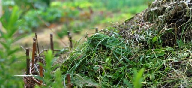 (c) Natur im Garten / Alexander Haiden