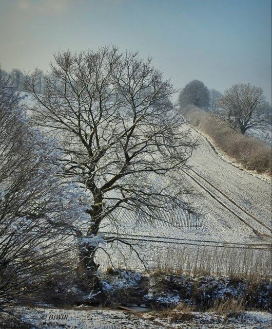 Etwa 2 cm Schnee sind heute gefallen ... Mehr brauche ich im Flachland eh nicht ;-)