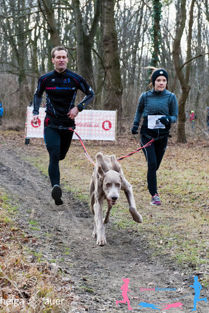 Markus Gerstl mit Jana Hofer im Jugend Canicross Lauf mit Finn © SpeedRunners.at