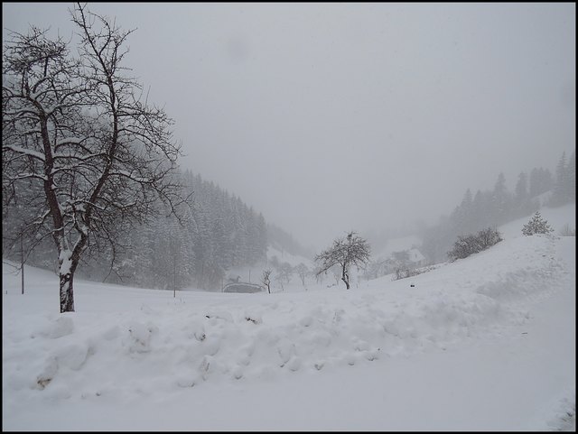 Das Wochenende brachte viel Schnee in das Ybbstal, wie hier auf dem Foto unserer Regionautin Doris Schweiger zu sehen ist.